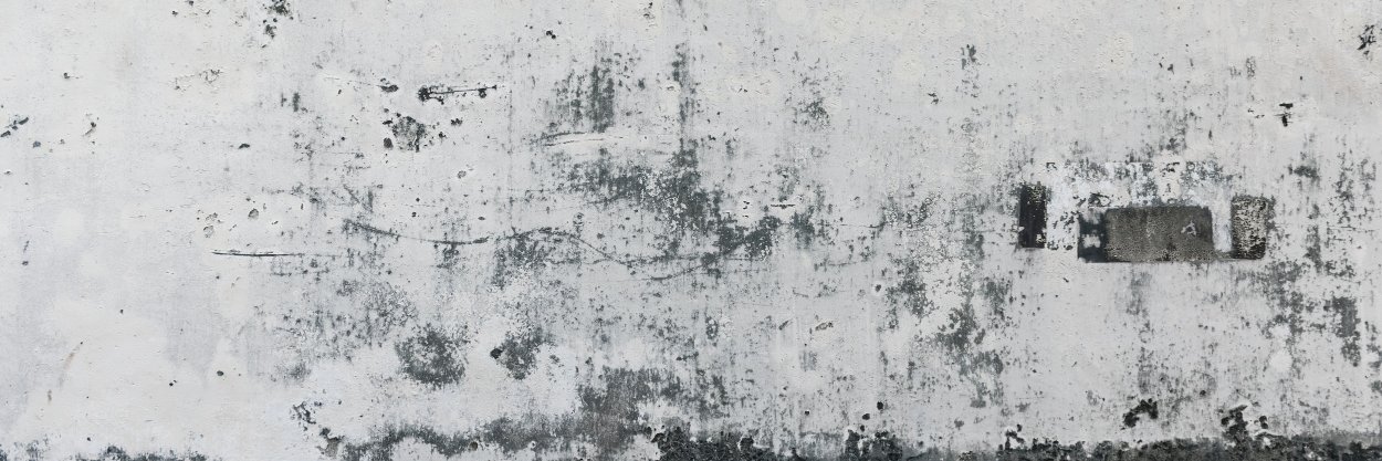 bradlav's profile banner image