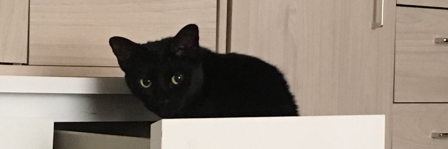justdrdave's profile banner image