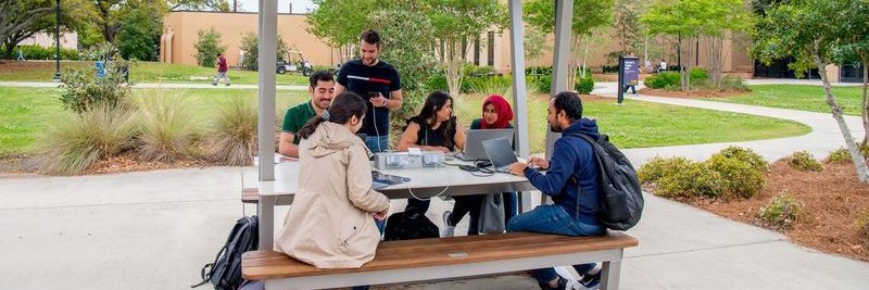 LSU Energy Institute banner