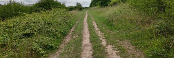 subsonic_cruise Profile Banner