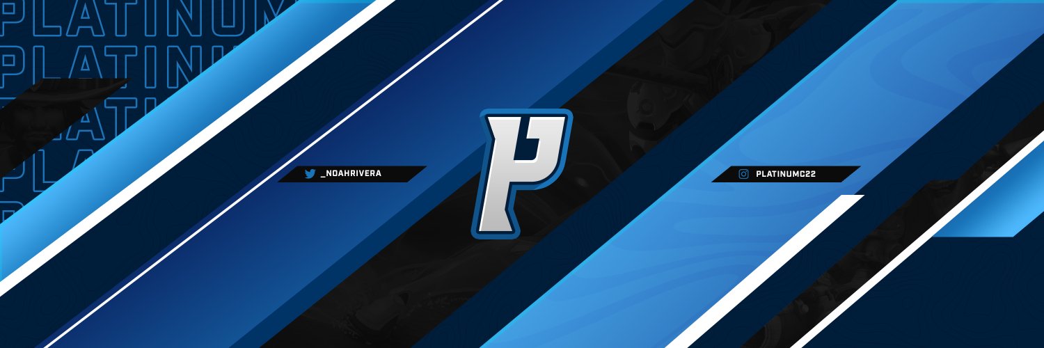 PLATINUM banner