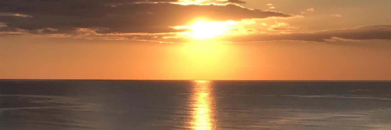 sharonbareham's profile banner image