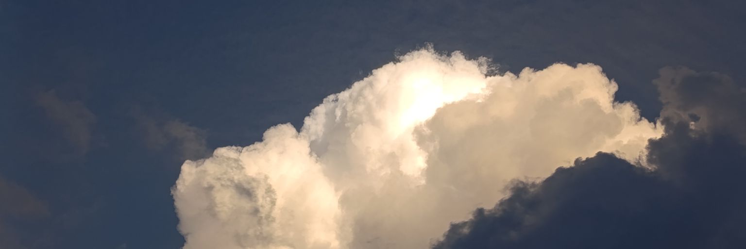 Curiososvic834's profile banner image