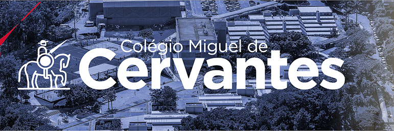 Miguel de Cervantes banner