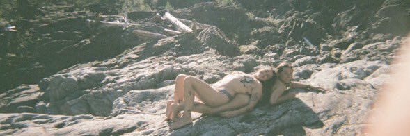haley banner