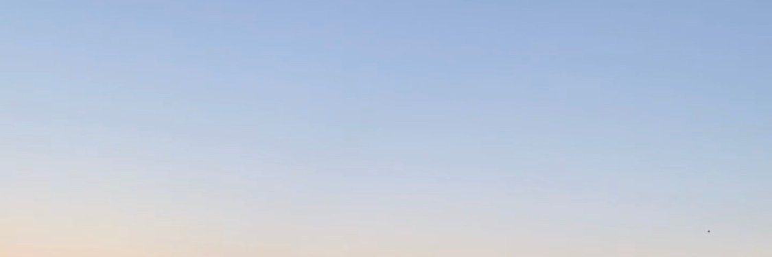 Molly Hanson banner