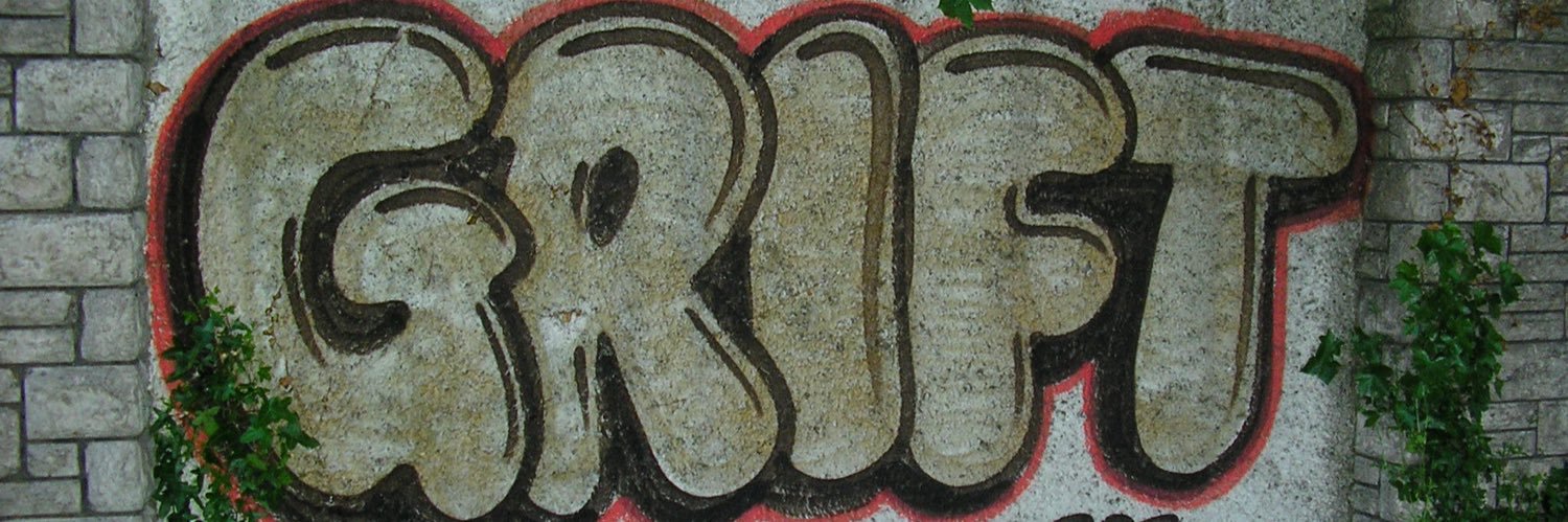 dingusgottherey's profile banner image
