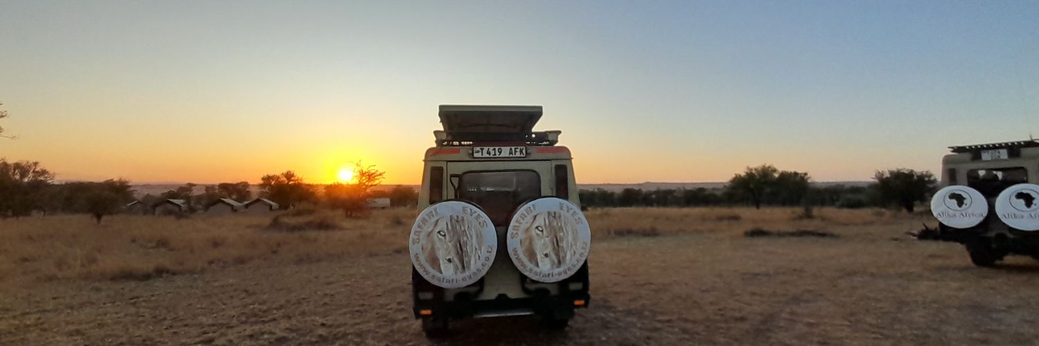 SafariEyes's profile banner image
