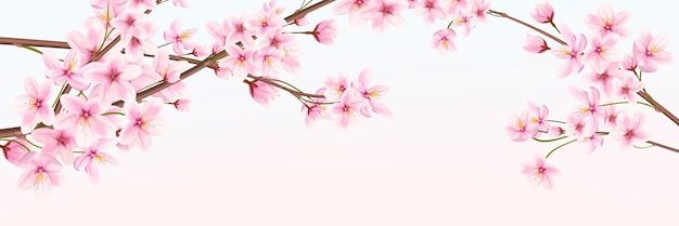 𝕊𝕙𝕖𝕟𝕣𝕚𝕥𝕤𝕦˳·˖✶𓆩𓁺𓆪✶˖·˳. banner