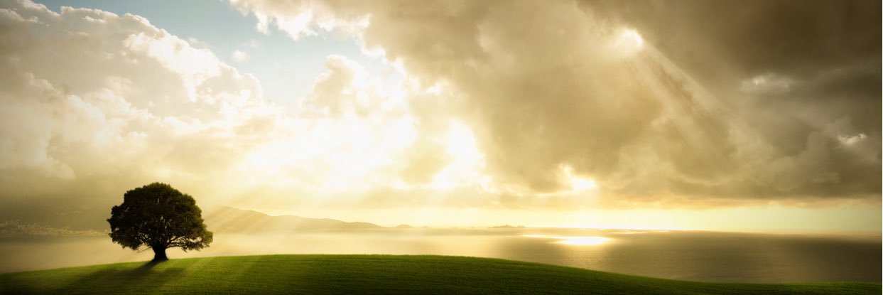 CdturnerCory's profile banner image