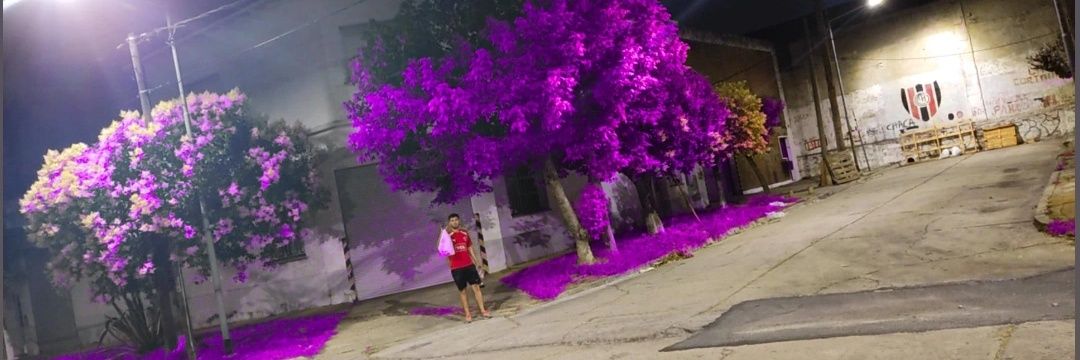 Demiann____'s profile banner image