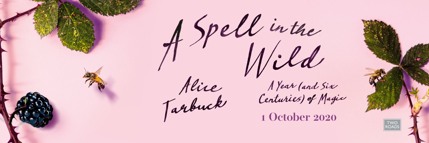 Dr Alice Tarbuck banner