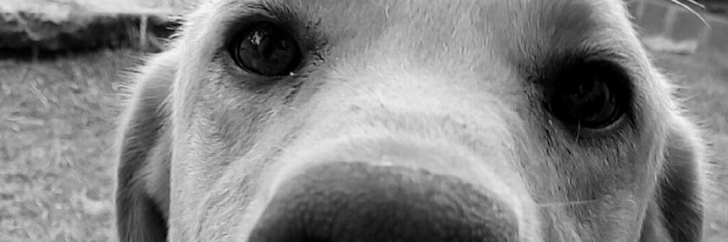 Maaaga__'s profile banner image