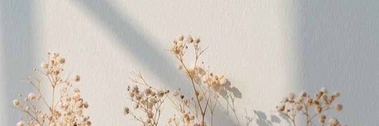 hernaldov's profile banner image