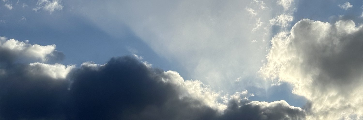 nicococinero's profile banner image