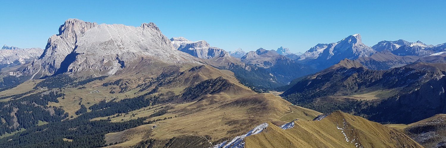 Felix Kaus banner