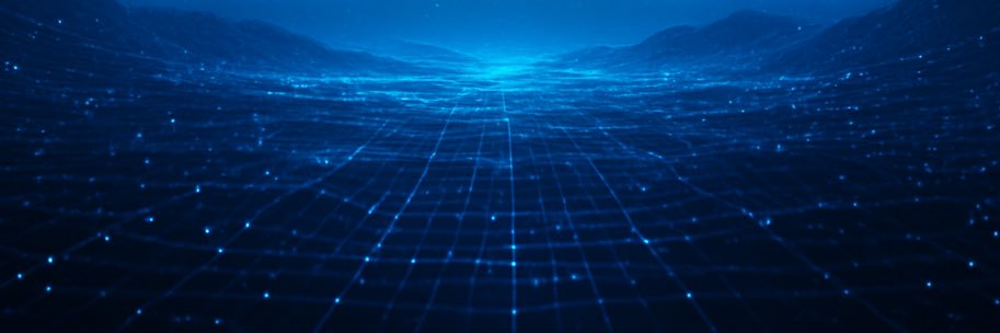 🇺🇸No Left Turns🇺🇸 banner