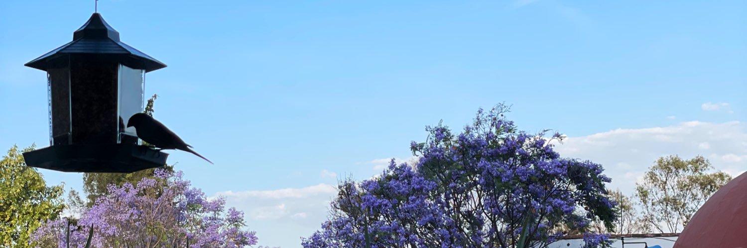 GianGdno's profile banner image
