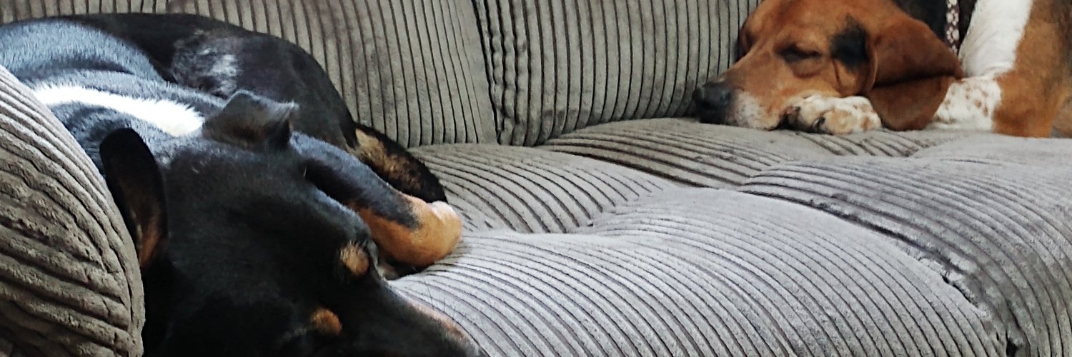 alanag2's profile banner image