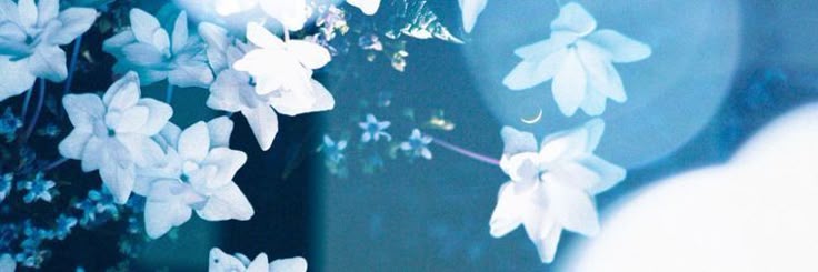 xenoxin_'s profile banner image