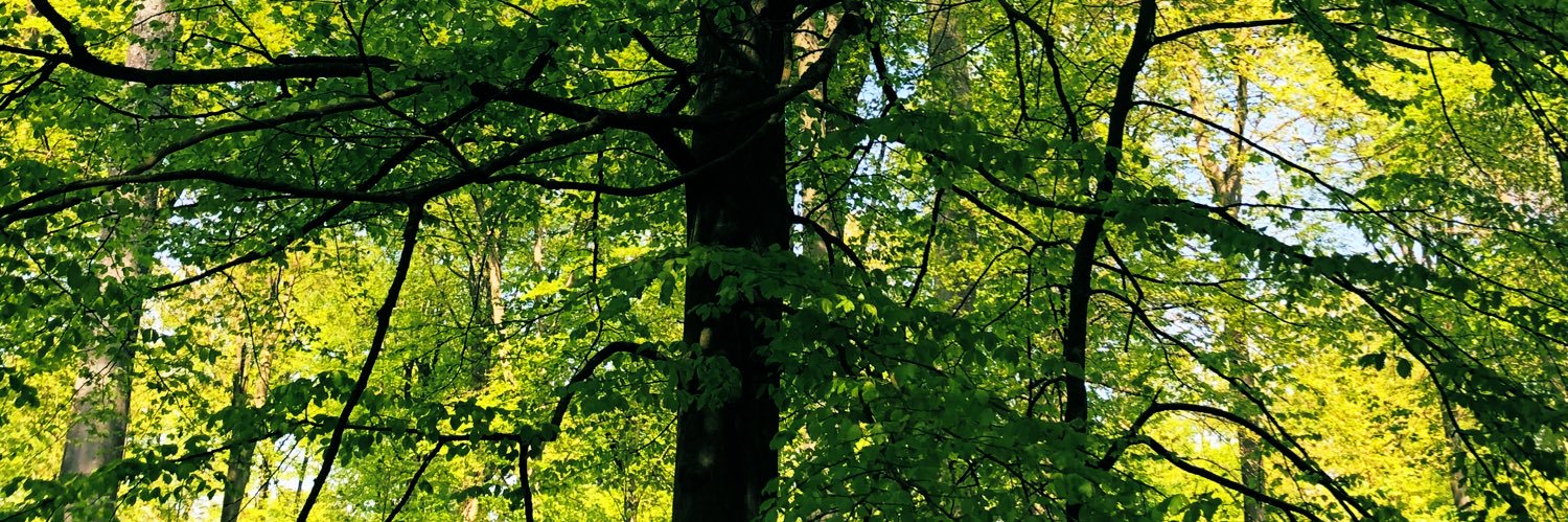 Natacha Marchand banner