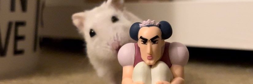 밥은먹고다니니 banner