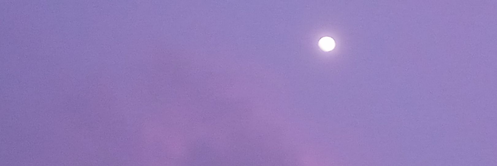 suki banner