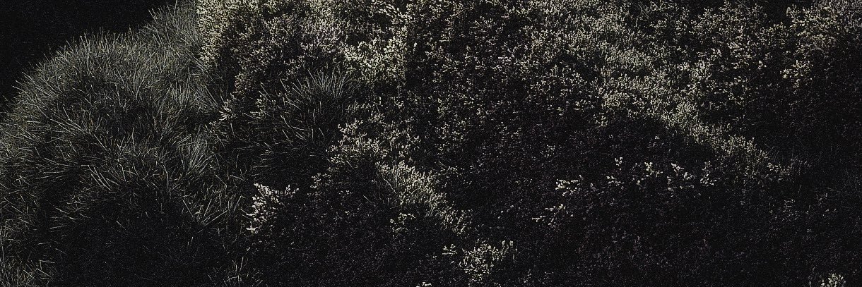 LostInWhit's profile banner image