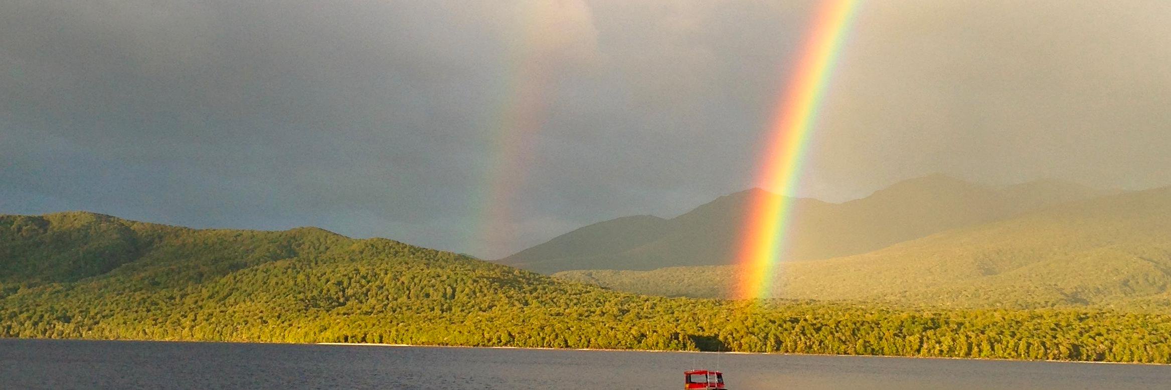 Maurine Neiman 🐌 banner