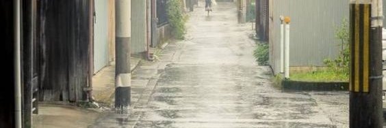 ✧あらん✧ banner