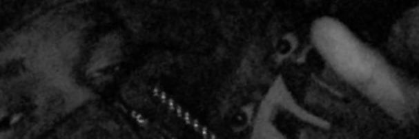 j4javz's profile banner image