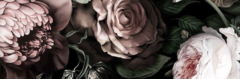WheresMolly_'s profile banner image