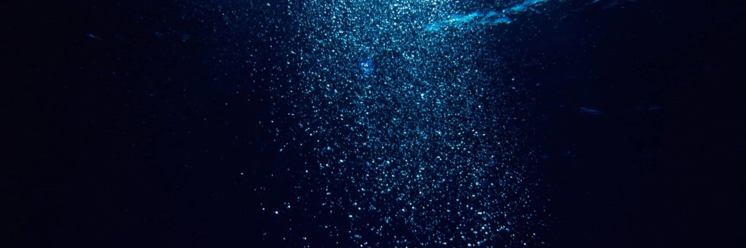 Polymarket Whales's banner
