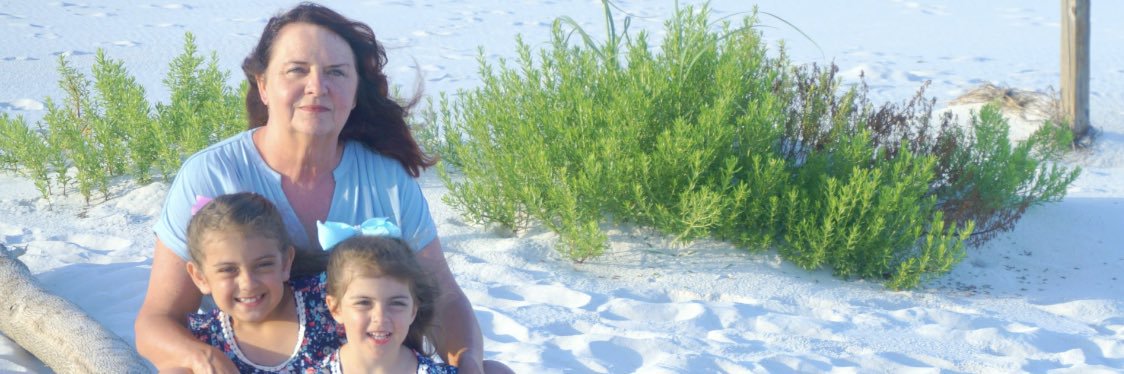 SusanMartinFair's profile banner image