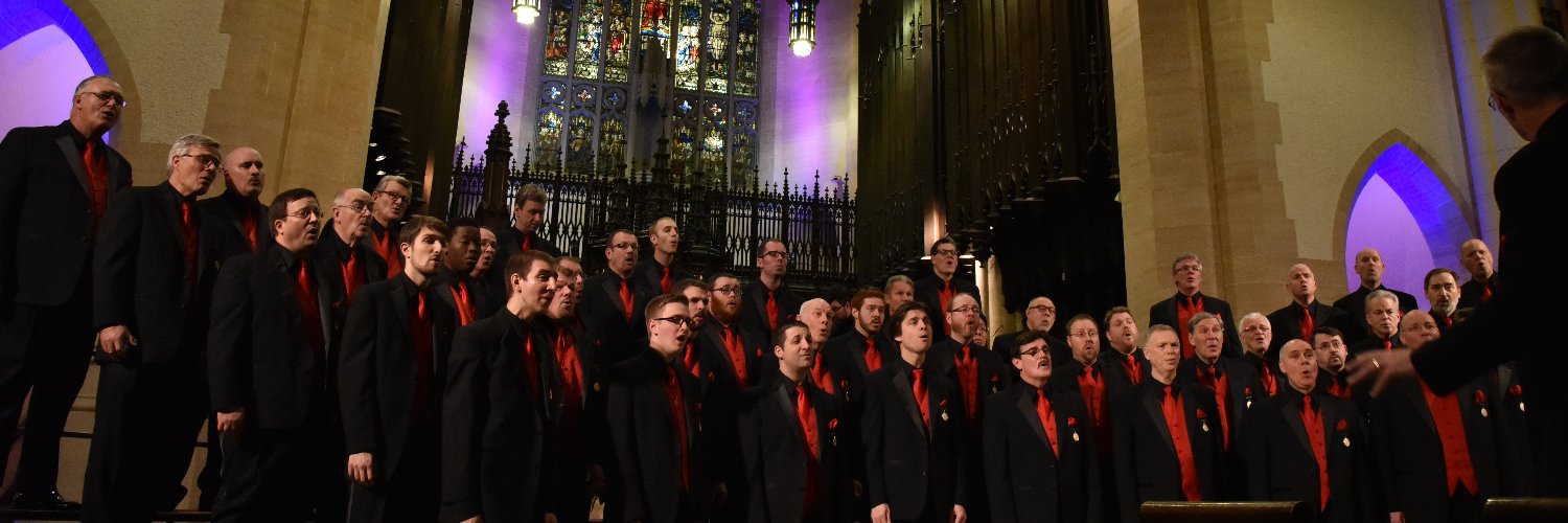 The Northern Lights banner