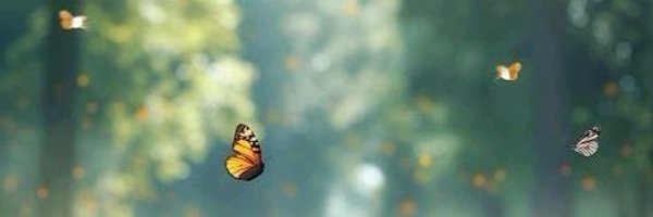 emansou6 Profile Banner