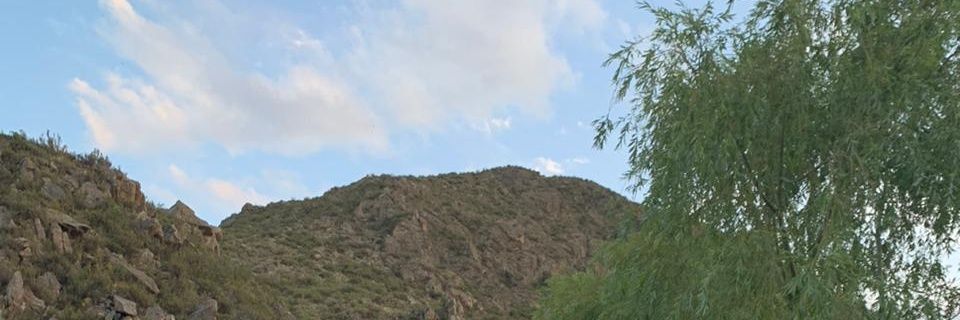 Micoolmartinez's profile banner image
