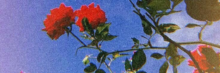 anibaezz's profile banner image