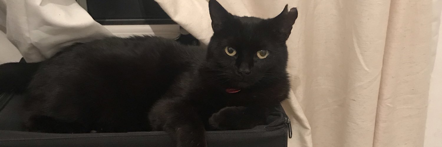 LucyDannyACT's profile banner image