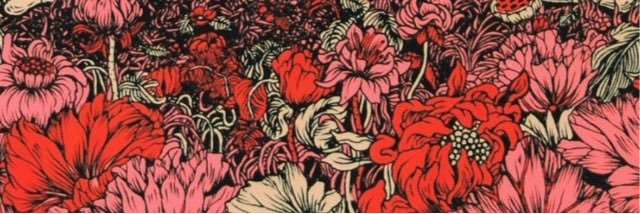 cass_desiree's profile banner image