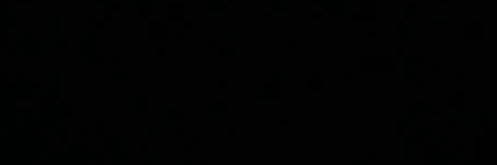 brunin banner