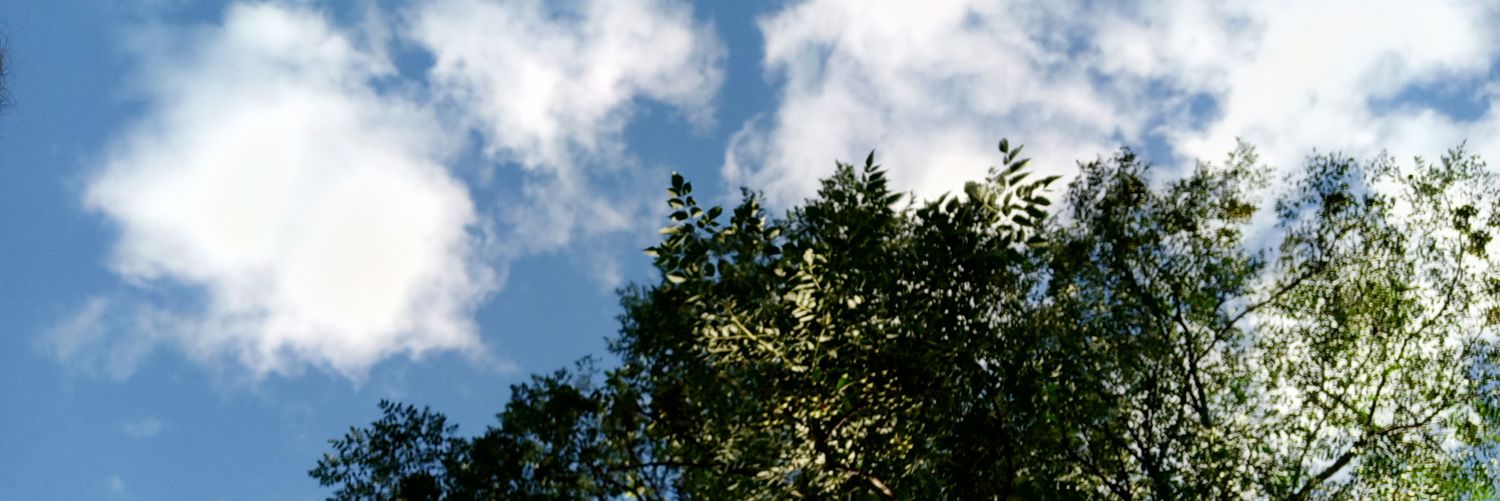 FiammiP's profile banner image