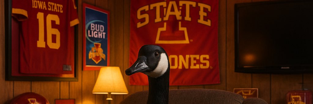 Cyclone Goose banner