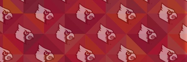 usfcardsfan8 Profile Banner