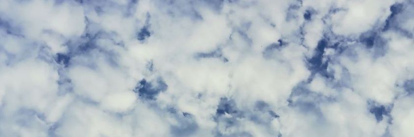thinzar htun banner