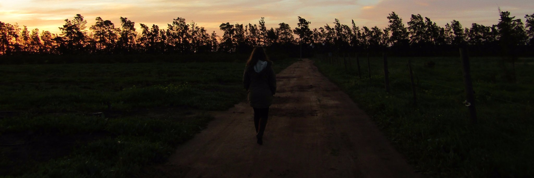 tamsynpage's profile banner image