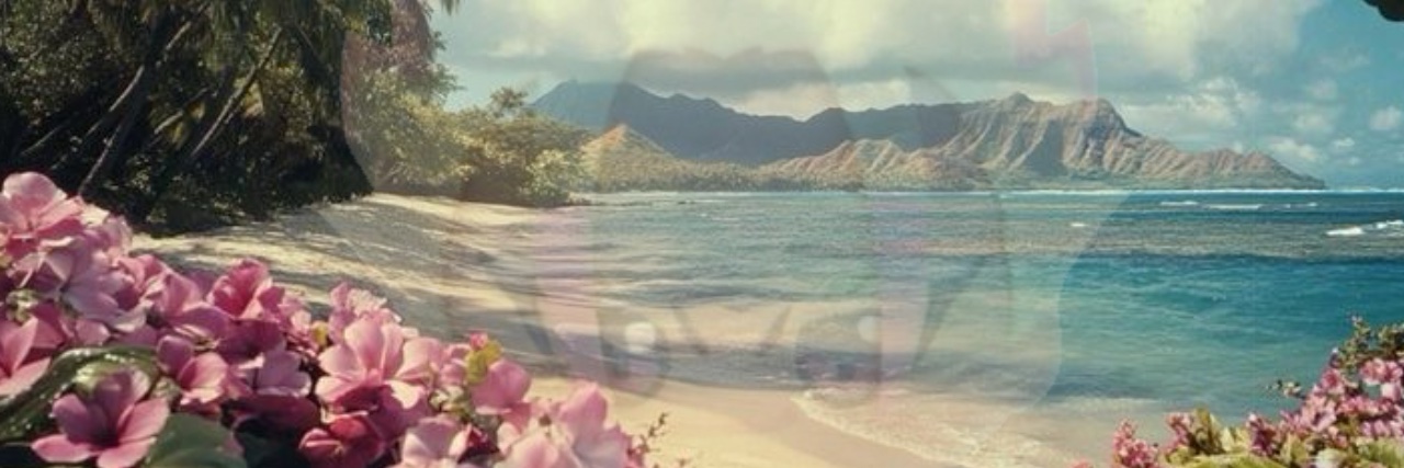 ryu_c4k3's profile banner image