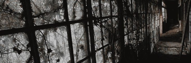 scarredhevrt's profile banner image