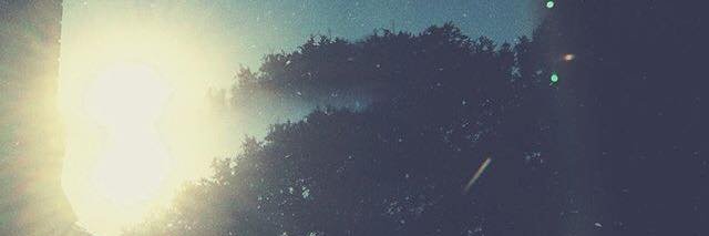 Zach Freeman. banner