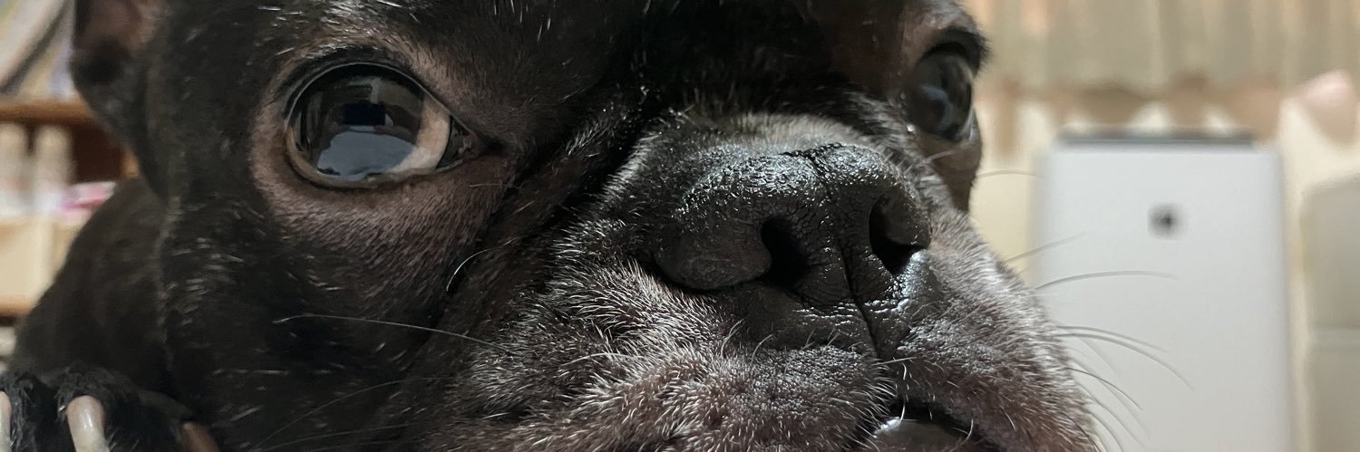 マグロシンジ@福岡uber banner